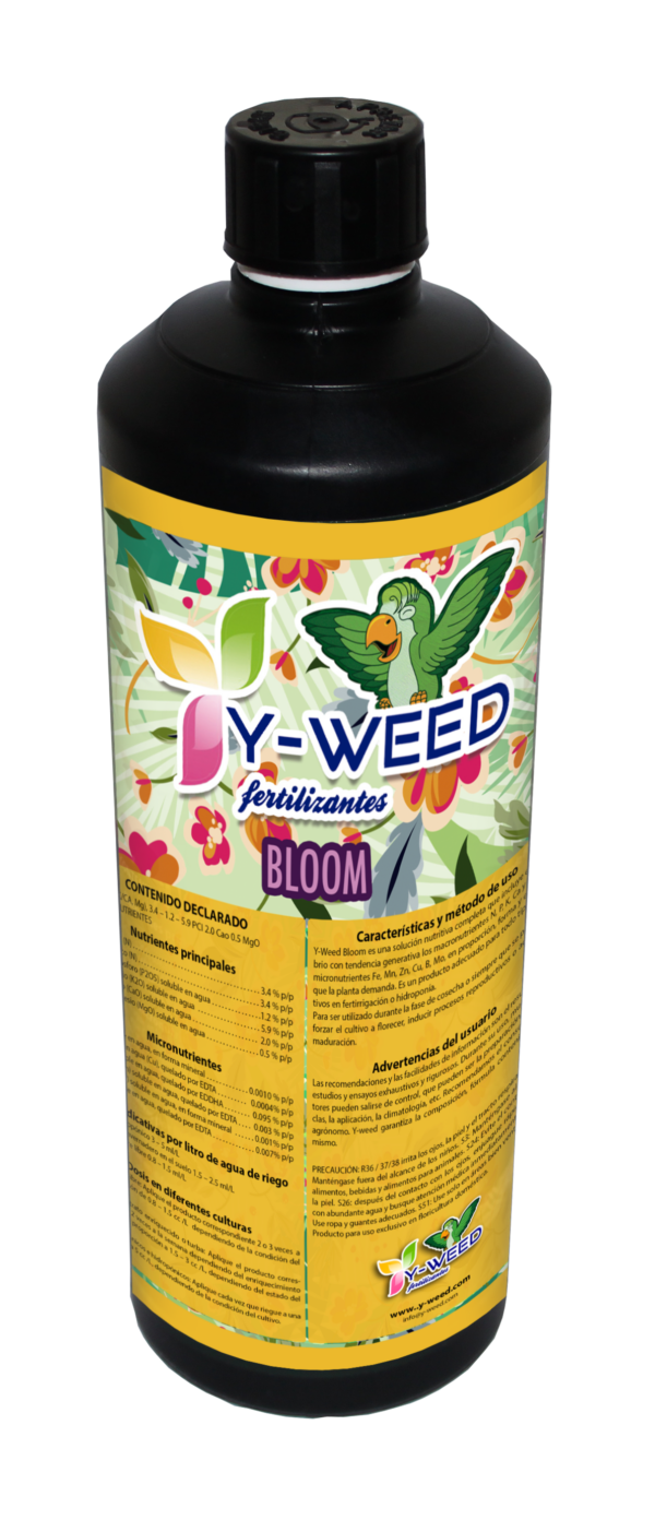 y-weed bloom